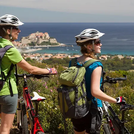 Paloma - Hypercentre, Clim, Gare A 2 Pas - By Tgb